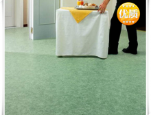 美寶琳野心 HD 地板